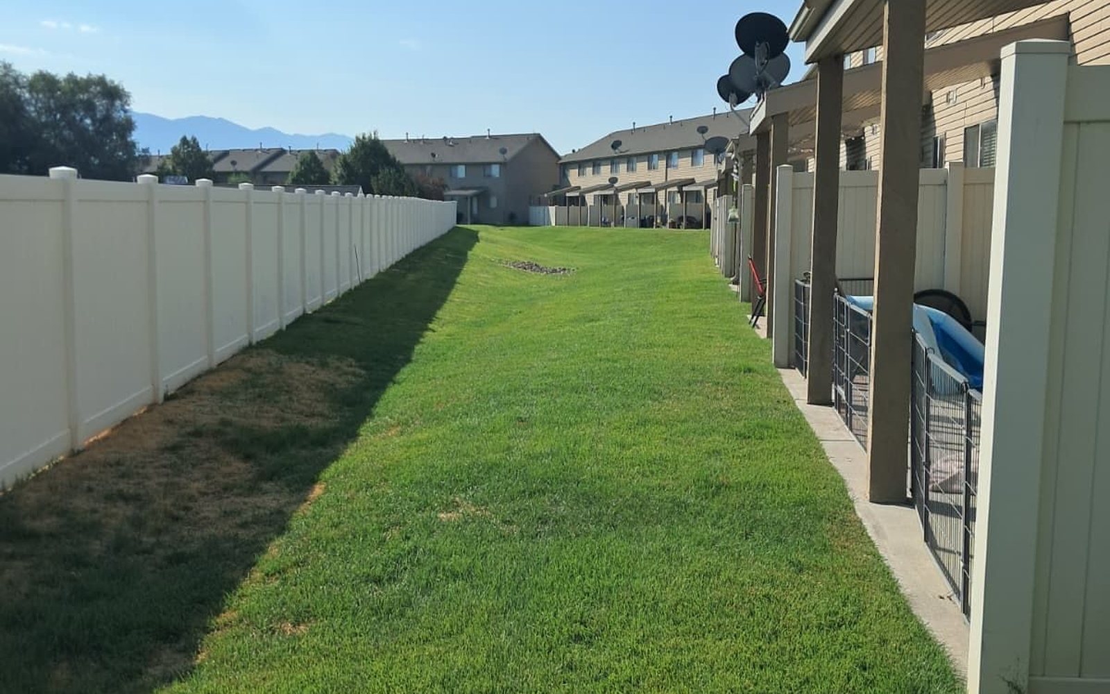 After — lush, restored green lawn