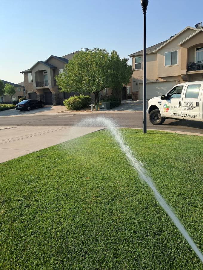 Healthy, well-watered turf