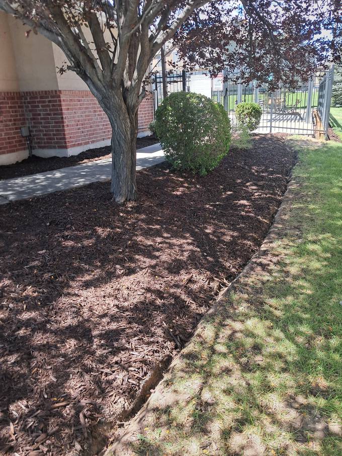 Mulch and crisp edging
