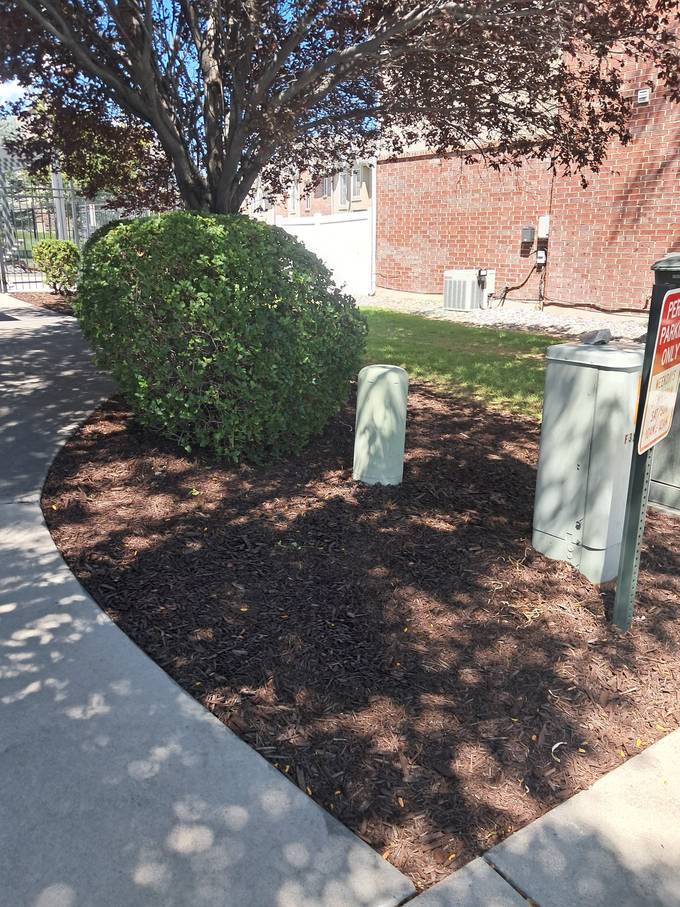 Mulching and bed cleanup