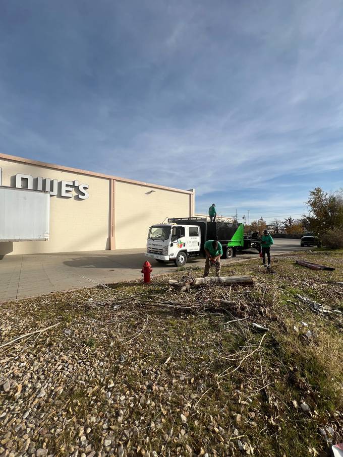 Commercial site clearing