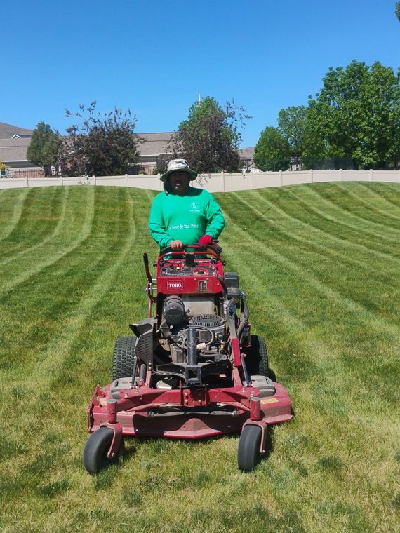 Stand-on mower striping a lawn