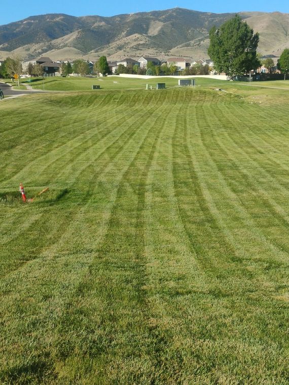 Open-field mowing with clean stripes