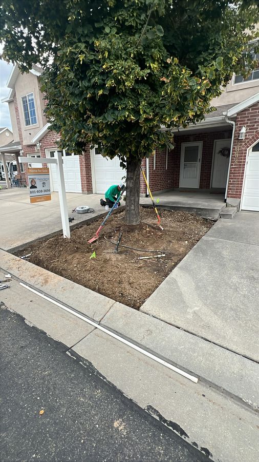 Irrigation work around a parkway tree