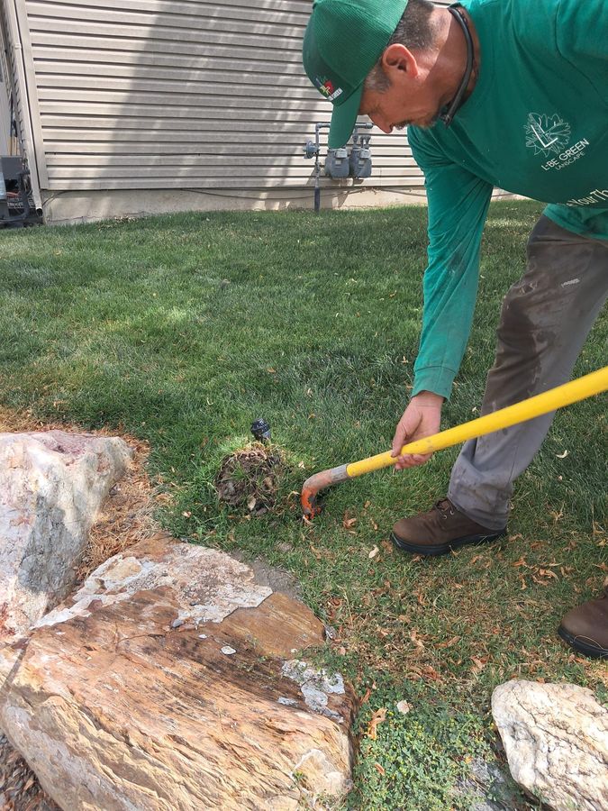 Adjusting a sprinkler head by boulders