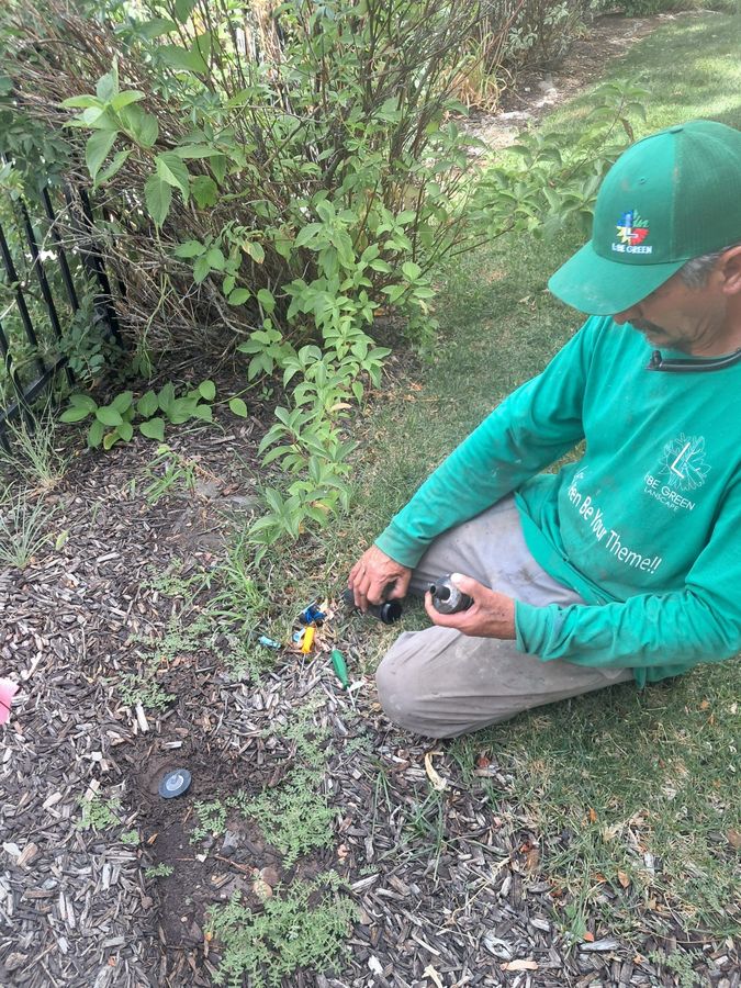 Rebuilding a drip irrigation zone