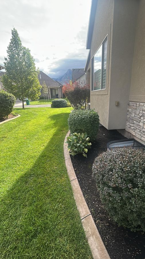 Concrete curbing with fresh mulch beds