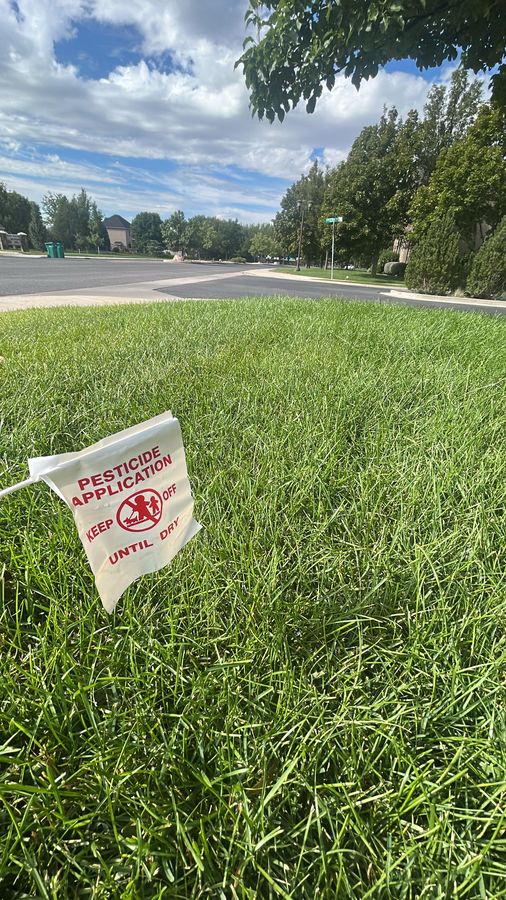 Lawn treatment application flag on green turf