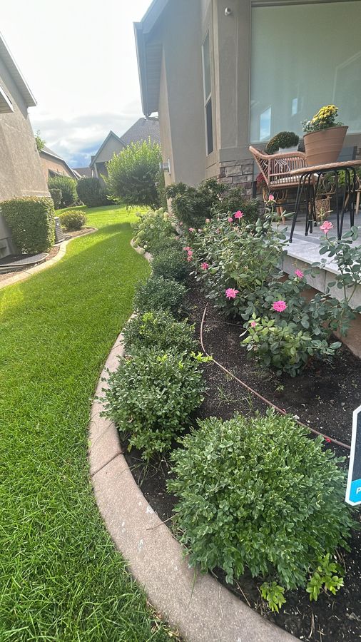 Planted bed with concrete curbing
